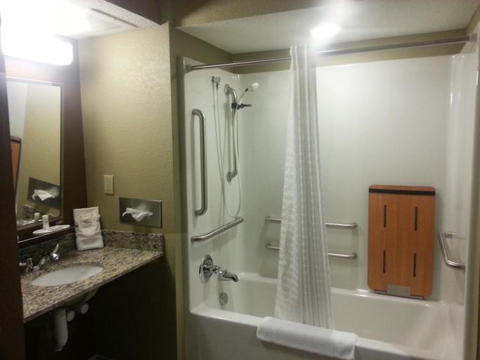 Bathroom 4, Microtel Inn & Suites by Wyndham Carrollton, Carroll
