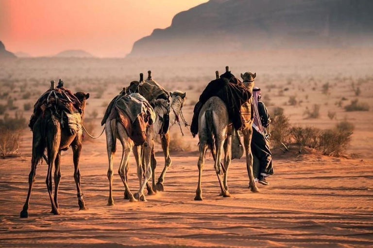 Others 5, Shaheen Camp wadi rum, Quaira
