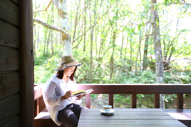 Scenery 8