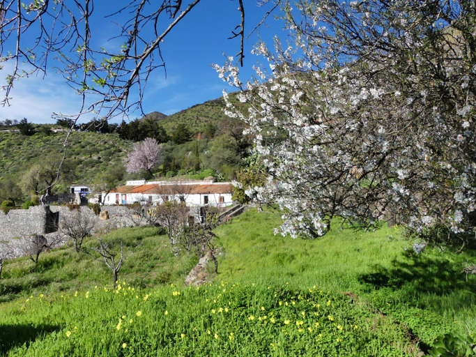 Exterior & Views 2, Mountain Hostel Finca la Isa, Las Palmas