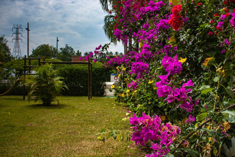 Others 2, Hotel Villa Bosco, Palmira