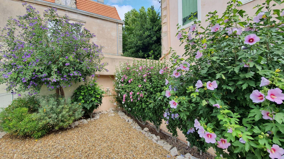 Others 3, Gites "tout au sud de la France", Hérault