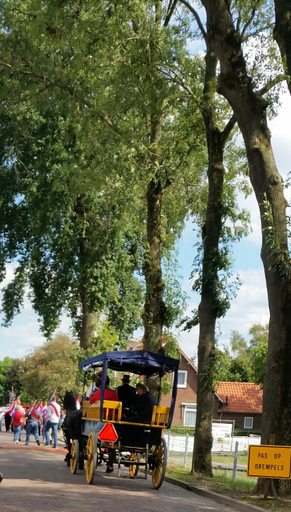 Others 4, Waard van Kekerdom, Ubbergen