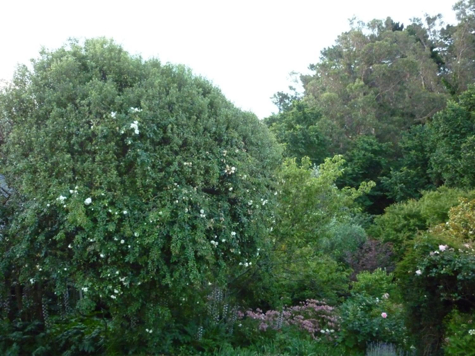Others 4, Cobden Garden, Napier