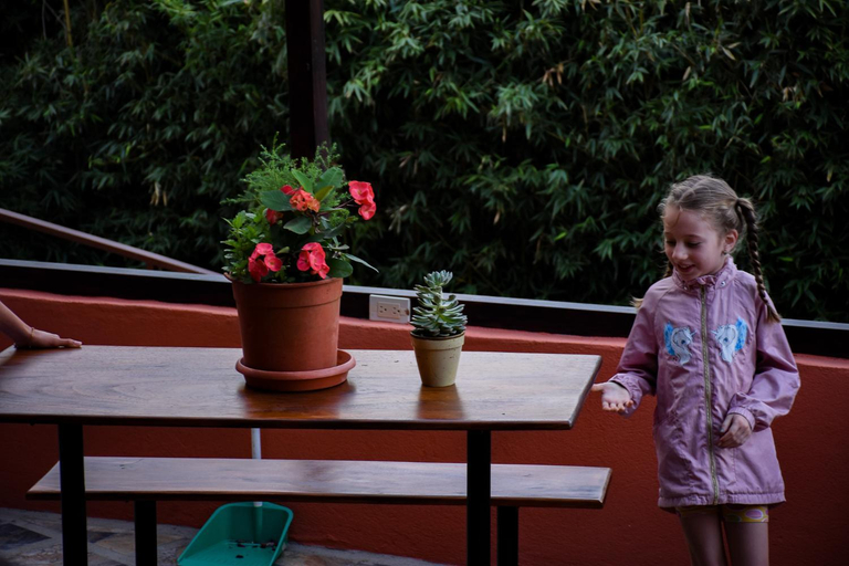Others 2, Cabinas Eddy B&B, Puntarenas
