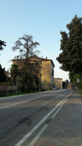 Others 5, Macri, Padua