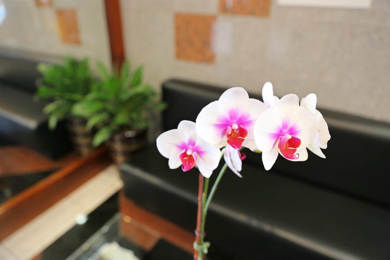 Public Area 2, Phoenix Hotel, New York