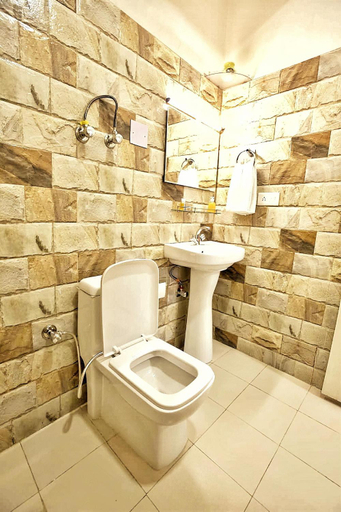 Bathroom 3, The Culture Nation Hostel Manali, Kullu