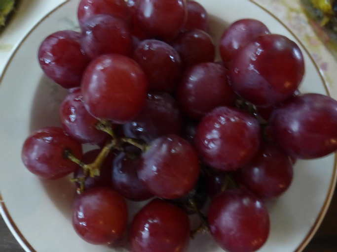 Food & Drinks 6