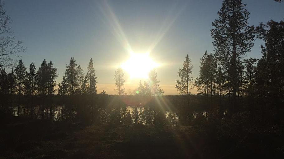 Others 5, Porotila Toini Sanila, Lapland
