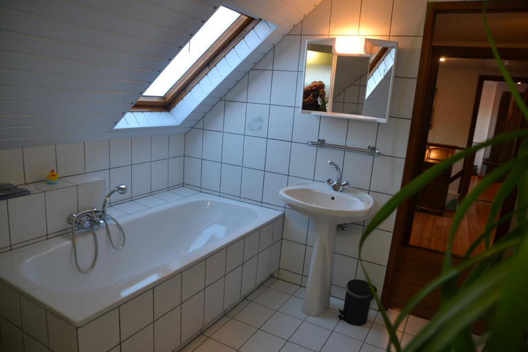 Bathroom 2, Herberg Thijssen, Boxmeer