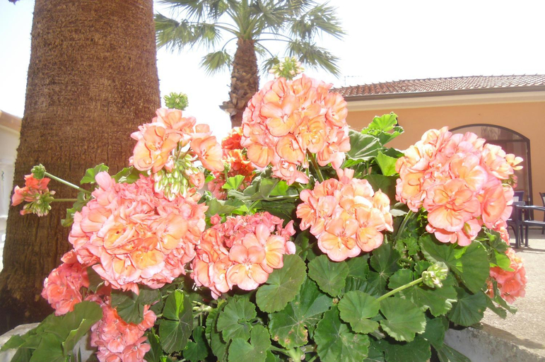 Exterior & Views 1, Villa Laura Residence Hotel Apartments & Studios, Salerno