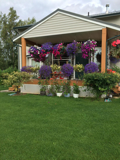 Others 2, Fishhook Sunrise B&B, Matanuska-Susitna