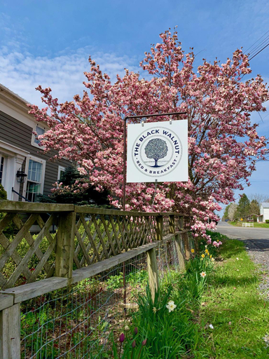 Others 3, Black Walnut Bed and Breakfast, Seneca