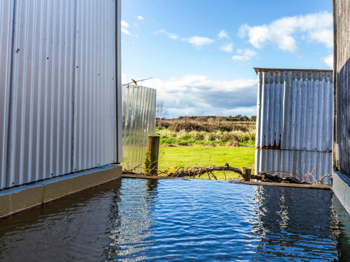 Others 5, Rainbow Motel & Hot Pools, Taupo