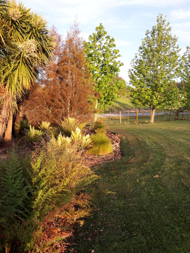 Others 4, Rural Palms, Far North