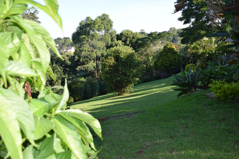 Others 4, Queenz Bed & Breakfast, eThekwini
