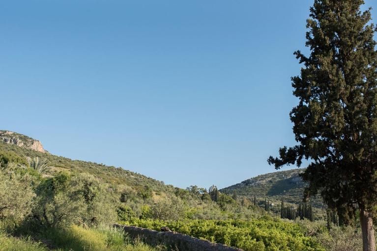 Others 3, KANATHOS PIGI, Peloponnese