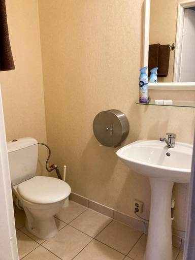 Bathroom 2, Motelis Astarte, Aizkraukle