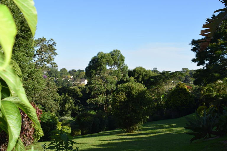 Others 5, Queenz Bed & Breakfast, eThekwini