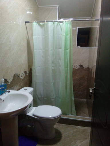 Bathroom 2, Iberia 2019, Batumi