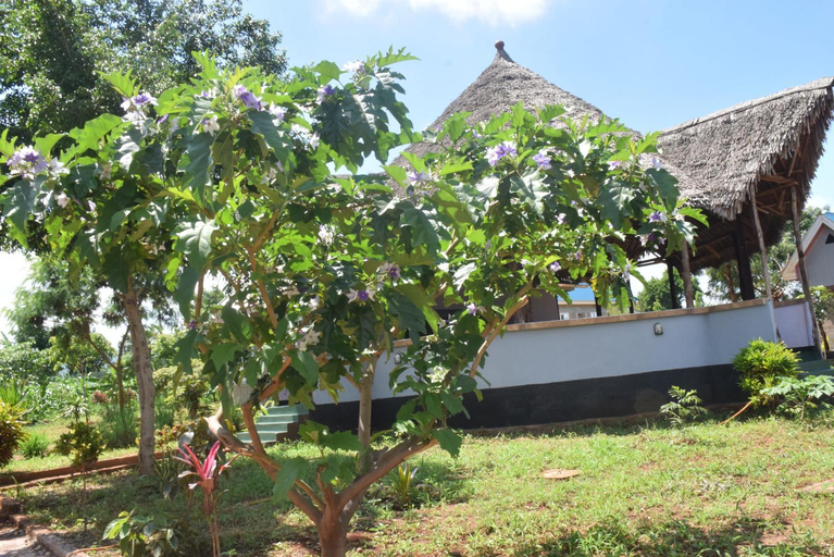 Food & Drinks 5, Kili View Lodge, Moshi Rural