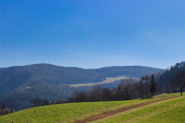 Others 2, Tiefala's Eck, Hartberg-Fürstenfeld