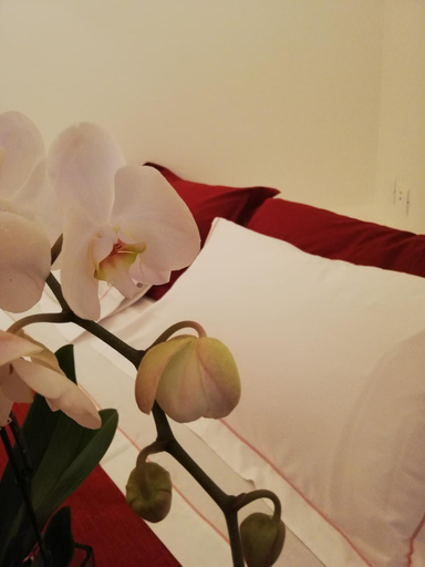 Bedroom 3, Agriturismo N'Uova Campagna, Bologna