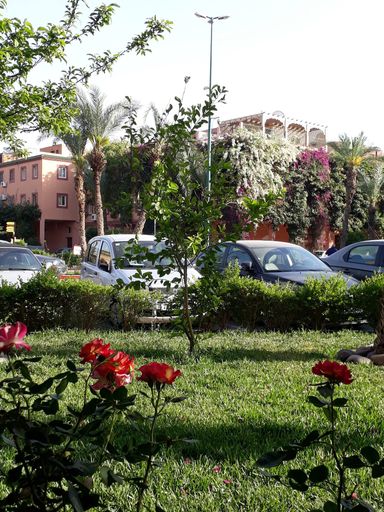 Exterior & Views 2, Riad Beni Youssef, Marrakech