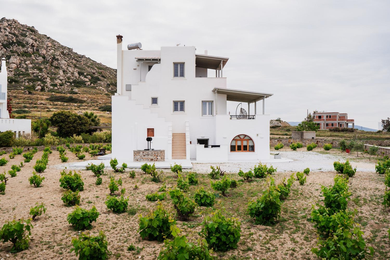 Exterior view 3, Orkos Naxian Wave 3, South Aegean