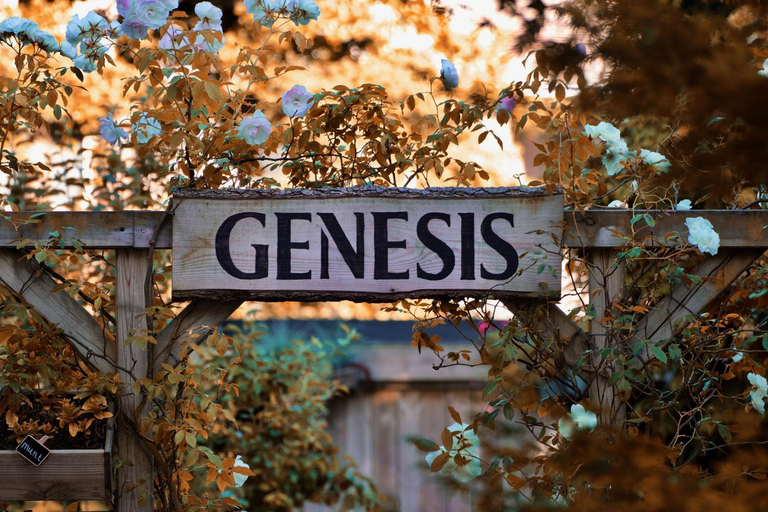 Others 4, Genesis Voorschoten, Voorschoten