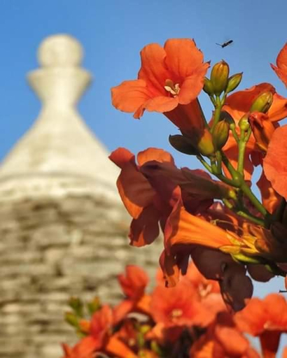 Others 4, Trulli di Ivana, Brindisi
