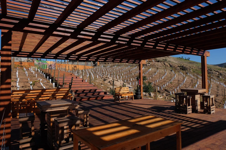 Food & Drinks 4, Siempre Valle Hotel Boutique, Ensenada