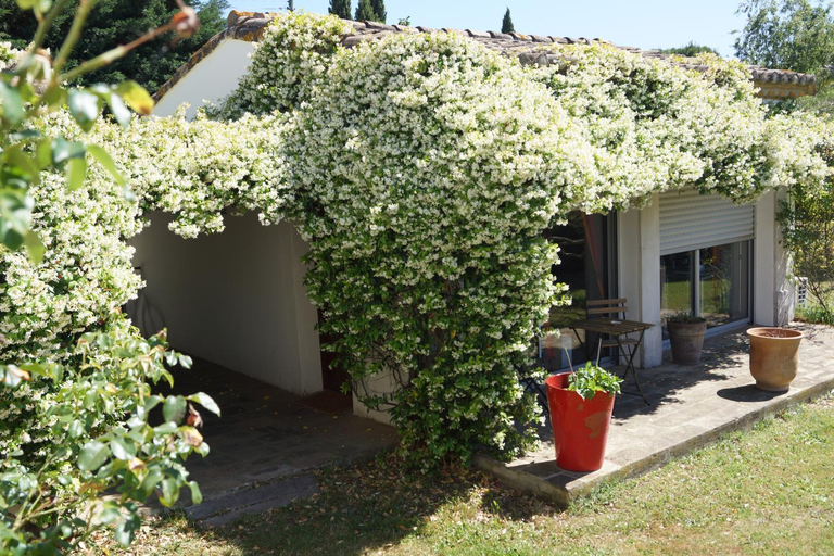 Others 4, Studio au coeur de la petite camargue, Gard