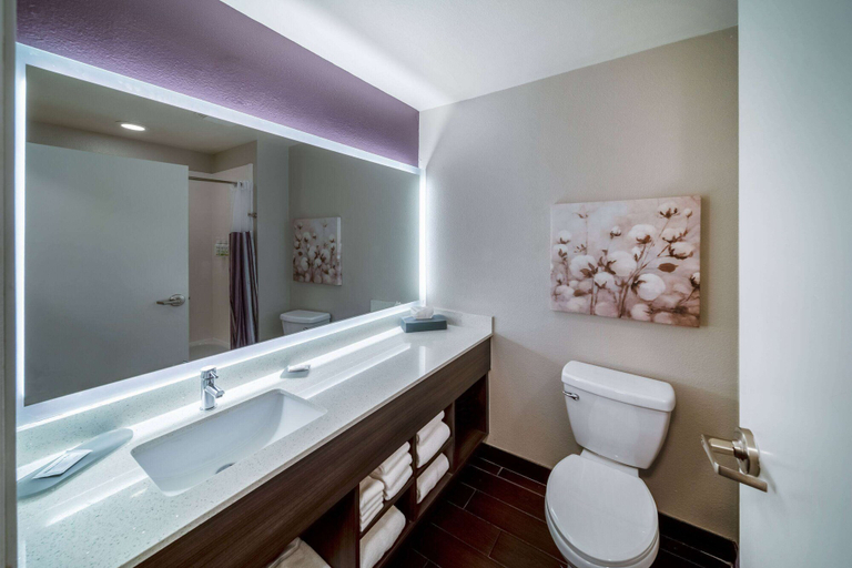 Bathroom 4, La Quinta Inn & Suites by Wyndham Rockwall, Rockwall