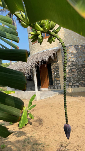 Others 5, Dune Towers -romantic beach hideaway B&B, Alankuda, Kalpitiya