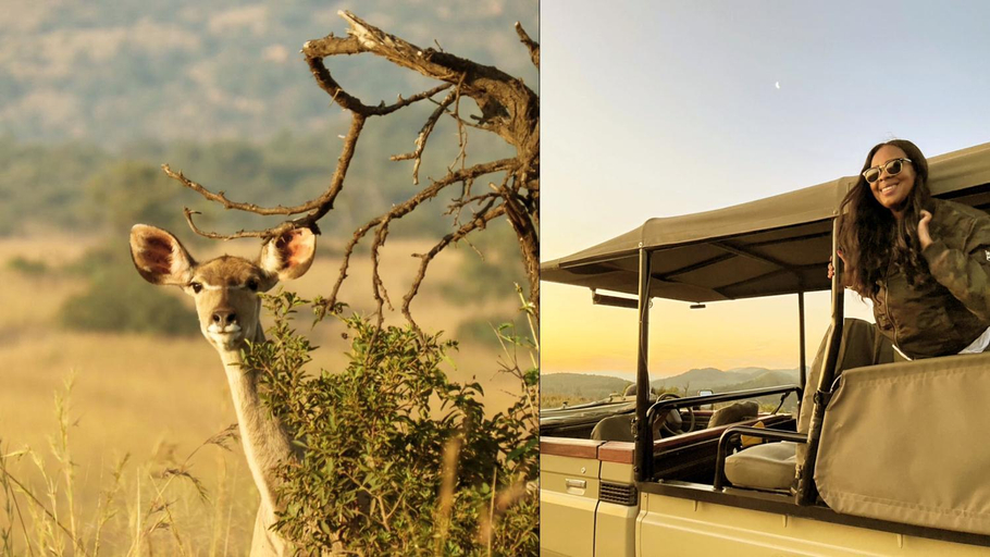 Bedroom 3, Nkomazi Game Reserve by NEWMARK, Gert Sibande