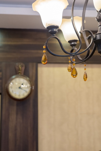 Others 5, Hotel Blue Poppy, East Sikkim