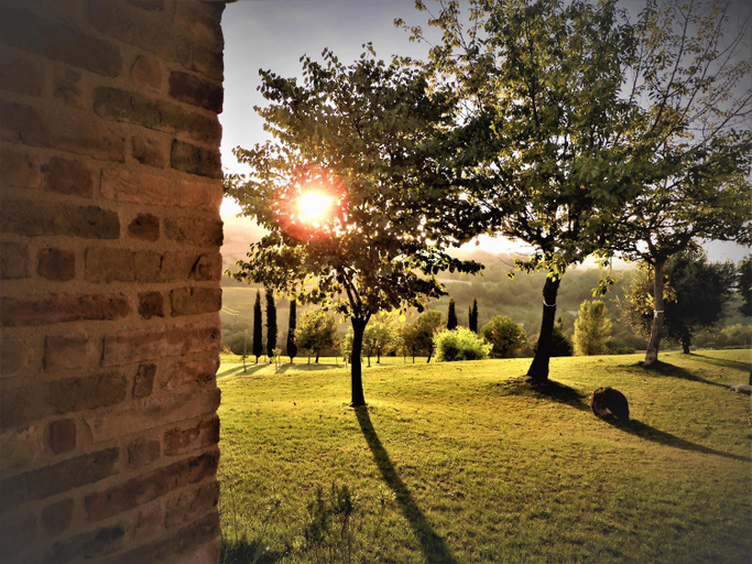 Others 4, Quelli del Picchio, Ancona