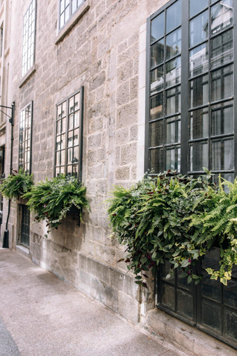 Others 5, Maison Sainte-Therese By Maisons & co, Montréal