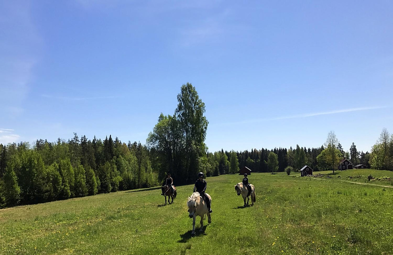 Others 3, Gronelid Gard, Laxå