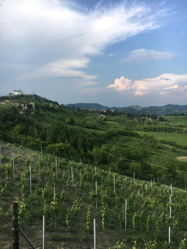 Others 2, Cascina Angela, Alessandria