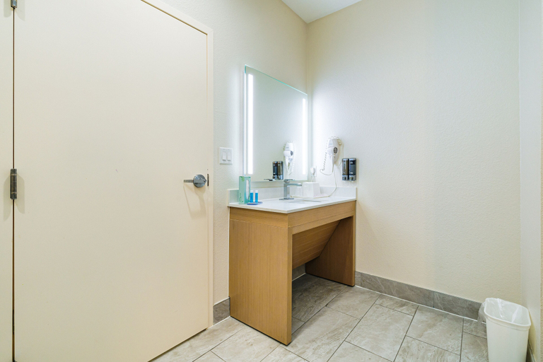 Bathroom 3, Palace Inn IAH Houston Bush Intercontinental Airport, Houston