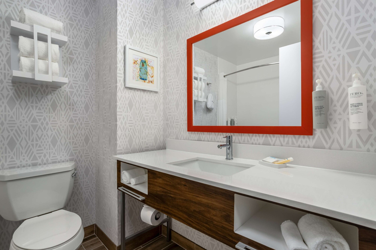 Bathroom 4, Hampton Inn & Suites Muncie, Delaware