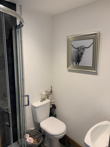Bathroom 3, Tathan Herd, Vale of Glamorgan