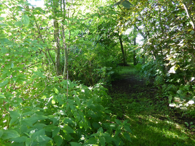 Others 4, Logeren bij de Ruimte, Weststellingwerf