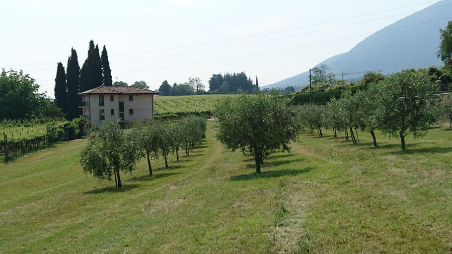 Others 5, Rama Relais, Verona