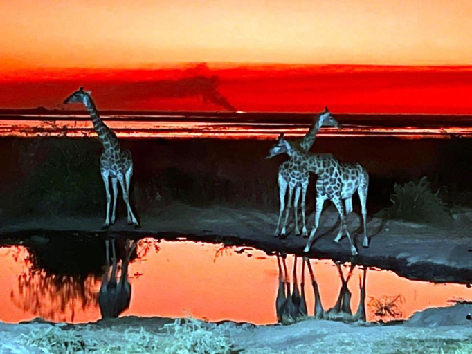 Attractions, Mwandi View, Chobe