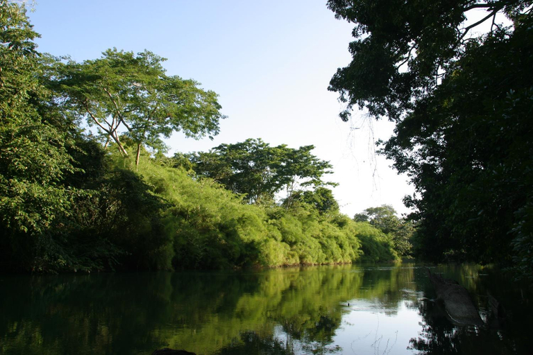 Others 4, Cohune Palms River Cabanas