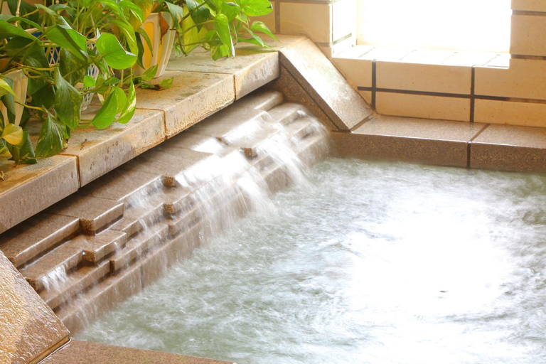 Sport & Beauty 5, Mt Fuji B&B PENSION LE LAGON, Yamanakako